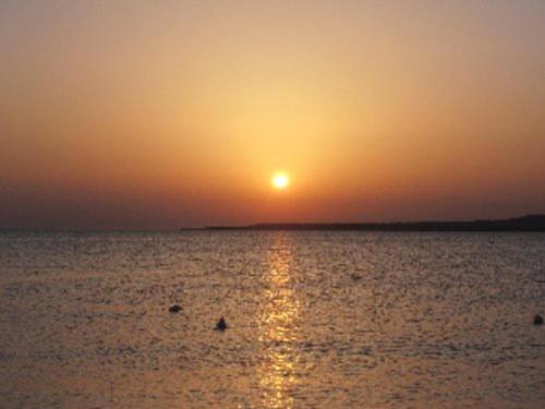 Hotel Stella Del Sud Calasetta Εξωτερικό φωτογραφία